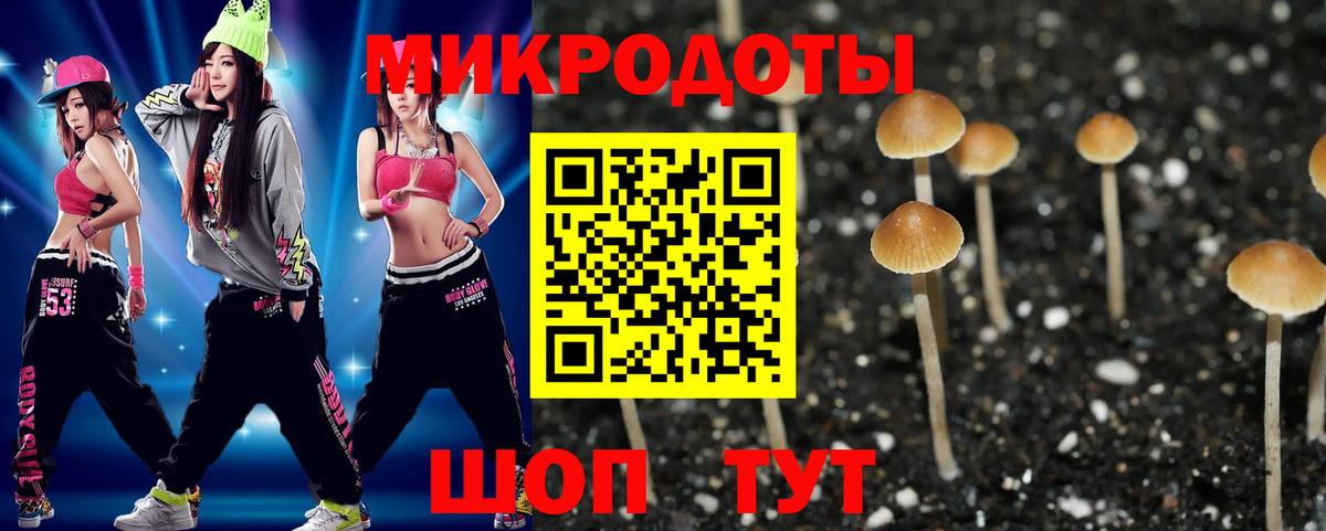 Галлюциногенные грибы Magic Shrooms Югорск