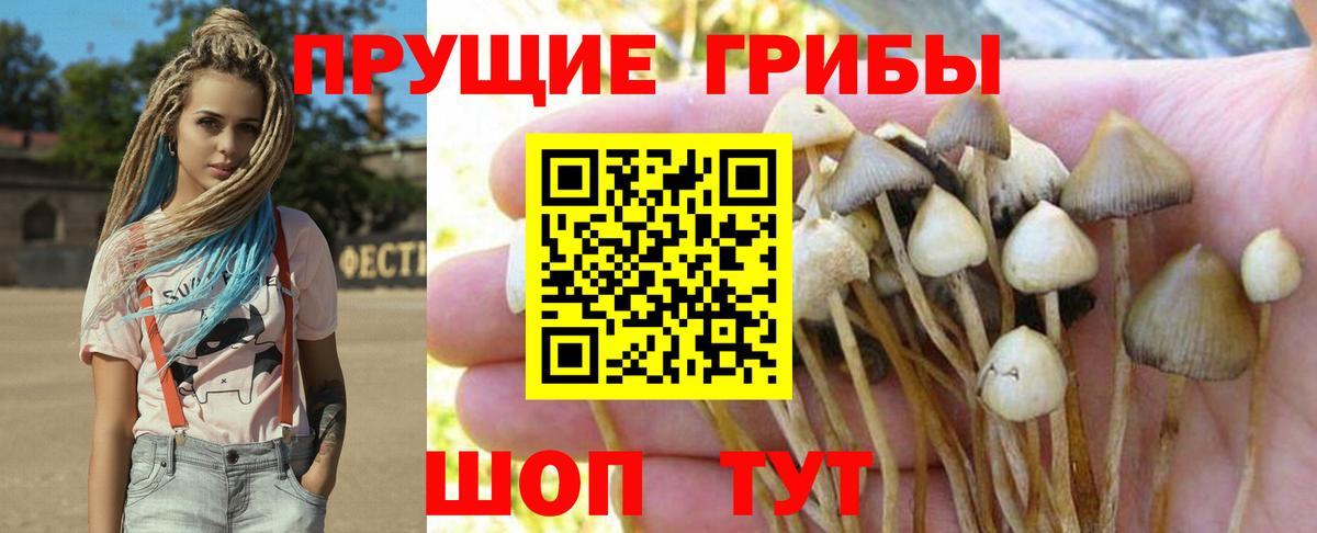 Псилоцибиновые грибы MAGIC MUSHROOMS  Вход с VPN  Югорск 
